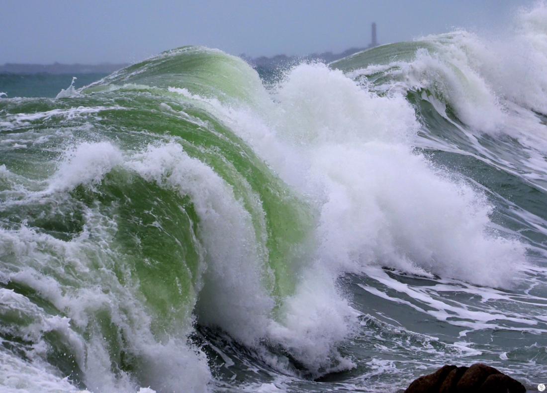 Tempête