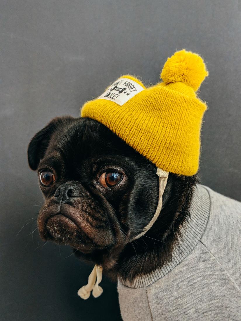 A Bonnet